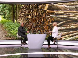 Велика потражња погурала цене огрева на стовариштима, каква је ситуација у "Србијашумама"