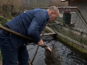 Потпеће код Ужица - село са највећим бројем рибњака