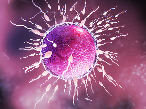 Сперма донора са геном који изазива рак коришћена за зачеће скоро 200 деце