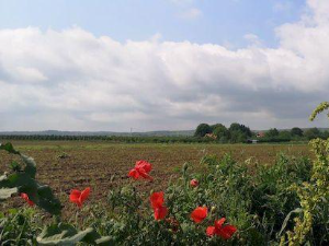 Екологери: Манђелос