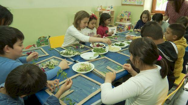 Инклузија: Наш траг