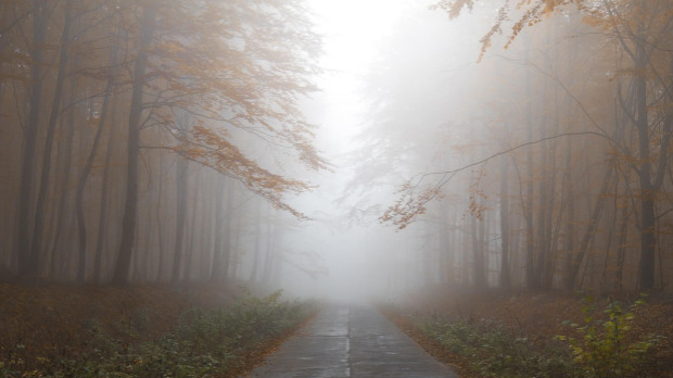 Магловито и тмурно са локалном појавом слабе кише, температура до 11 степени