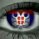 Српски национални идентитет у новом добу