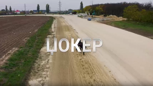 Човек који прави разлику-Џокер-Никола Јокић