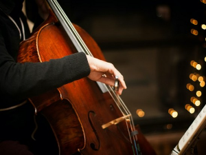 Пол Тортелије,  виолончело