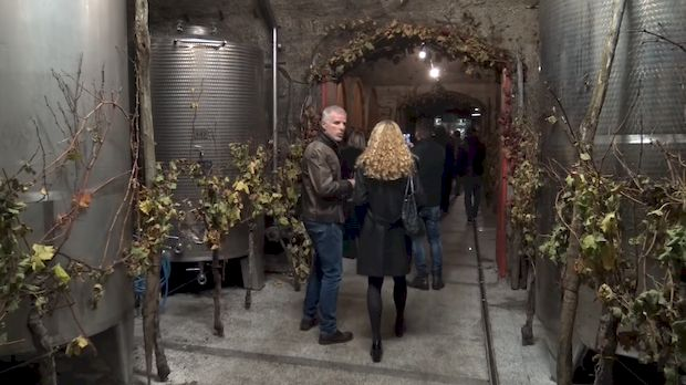 Грозд: Младо вино