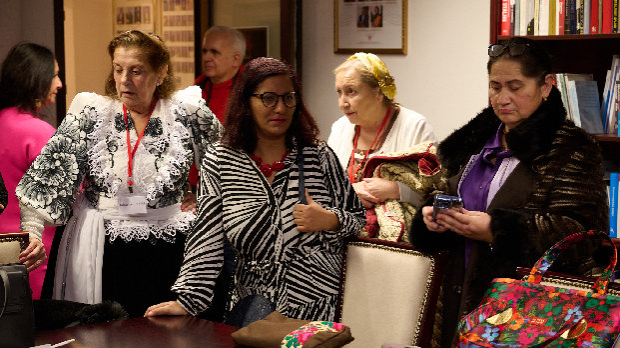 Институционална заштита Рома у пракси