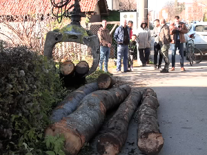 Огревно дрво за угрожене категорије 