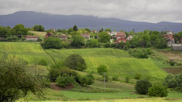 Култура Срба у Хрватској: Славонски Срби, 2. део