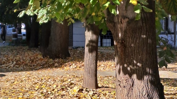 Јутарњи викенд програм