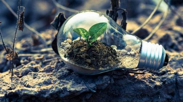 Еколошки магазин