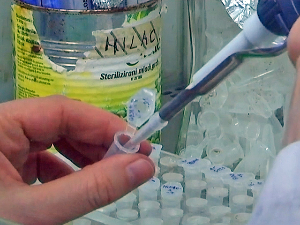 У Хрватској и Румунији потврђени случајеви губе