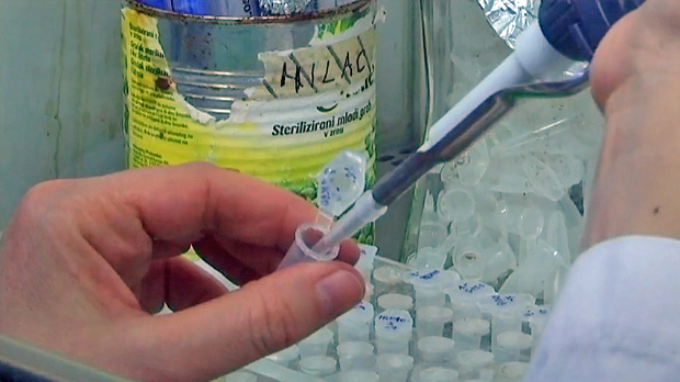 У Хрватској и Румунији потврђени случајеви губе