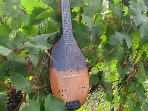 Винил – Тамбурица ситним гласом удараше