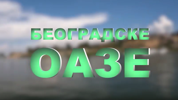 Београдске оазе-Ада Међица