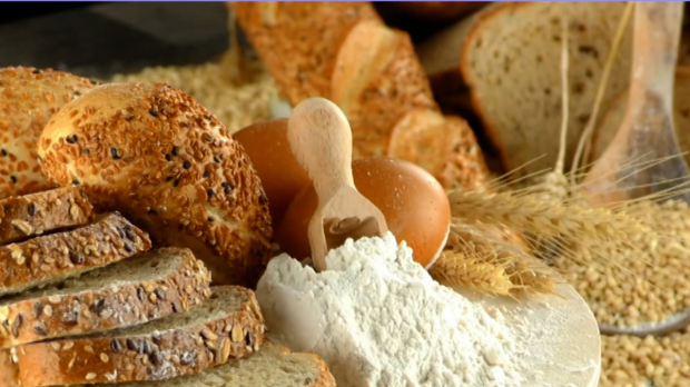 Пшенице има, али је квалитет упитан – колико ће 