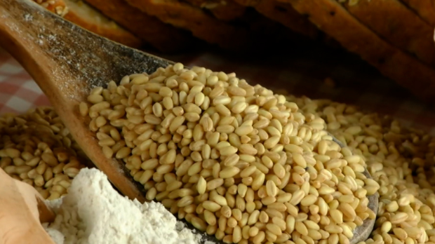 Како кувана пшеница помаже у борби са хемороидима