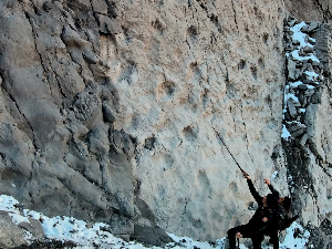 У италијанском националном парку откривене хиљаде отисака диносауруса