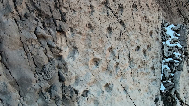 У италијанском националном парку откривене хиљаде отисака диносауруса