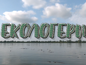 Екологери: Сурдук