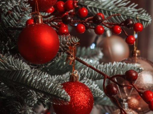 Еко перспективе: Стиже Нова година 3