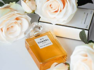 Карл Шлегел: Мирис империје (3)