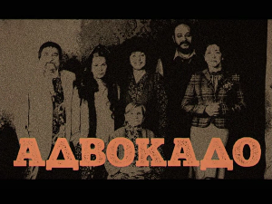 Адвокадо, 16-20