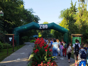 Након навода о занемаривању животиња, ванредни инспекцијски надзор у ЗОО врту Палић