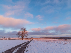 Најдужа ноћ у години и званични почетак зиме, али и повратак Сунца 