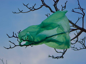 Зашто нам је тешко да се одрекнемо пластичних кеса и када ћемо их потпуно протерати