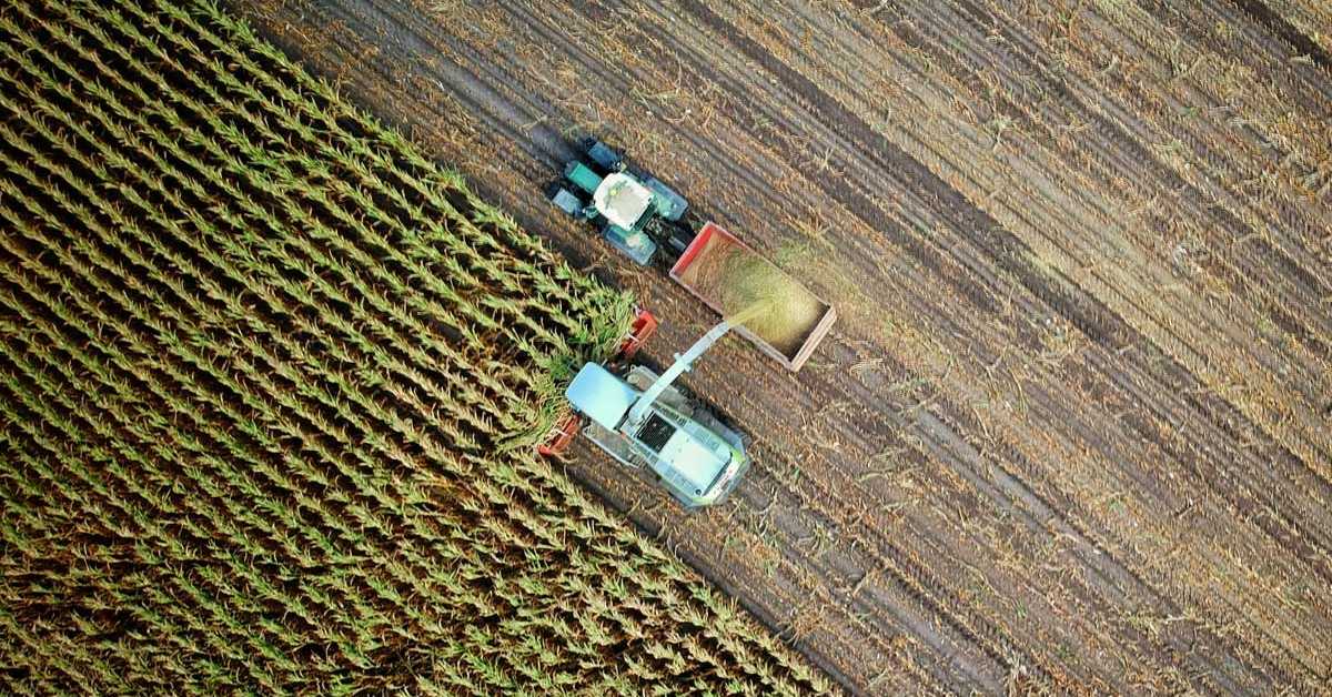 Храна све калоричнија али неквалитетнија због пораста употребе угљен-диоксида у узгоју