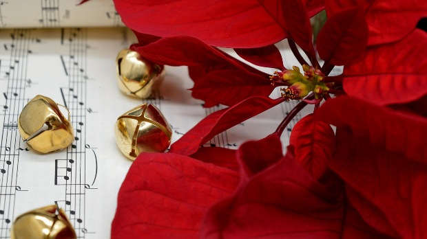 Сребрни звончићи