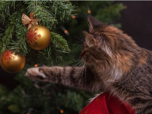 Еко минијатуре: Читамо етикете