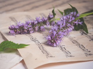 Избор за топ-листу класичне музике Радио Београда 2