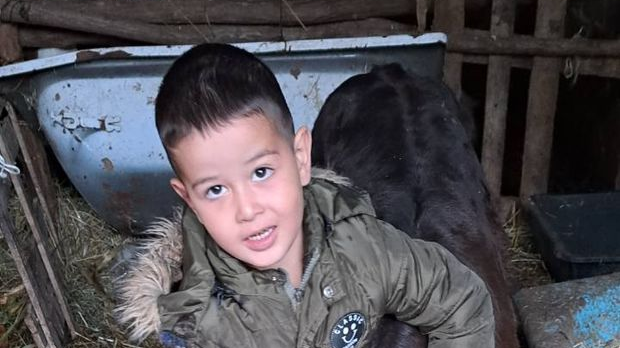 Мали велики људи - Дикићи