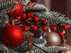 Еко перспективе: Стиже Нова година 3