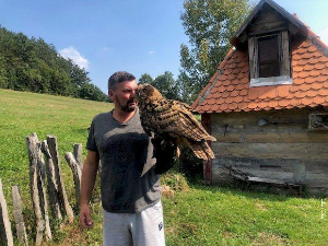 Екологери: Стапари