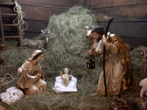 Свештеник Београдске надбискупије Нинковић: Најзначајнији симбол Бадњег дана је долазак живота