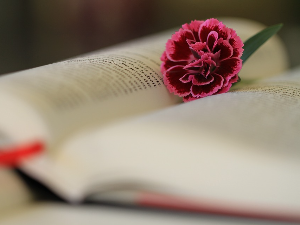 Слушајте „Пут у речи" и размишљајте о језику