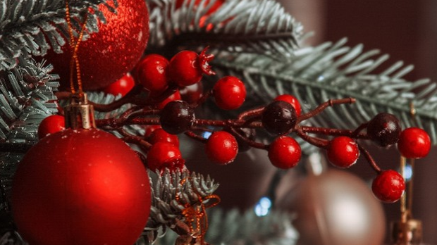 Сениори маратонци и песници у години коју испраћамо