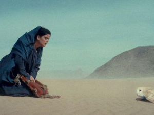 Света Петка: Крст у пустињи