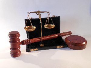 Одбијени сви приговори на изборе за чланове ВСТ, министар Вујић тражи да се решење стави ван снаге