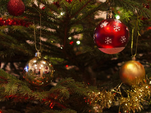 Занимљивости са путовања