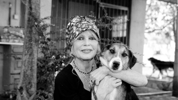 Живот између славе, побуне и пасије према животињама: Опроштај од Брижит Бардо