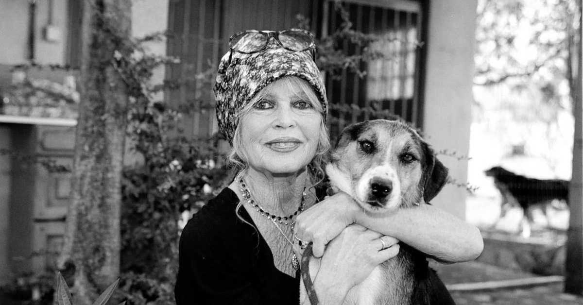 Живот између славе, побуне и пасије према животињама: Опроштај од Брижит Бардо