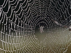 Маријана Ћулић Вићентић: Прича о несуђеним љубавницима