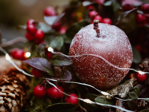 Новогодишња емисија „Од злата јабука” 