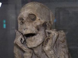Фасцинантна историја мумија у Музеју човека у Паризу