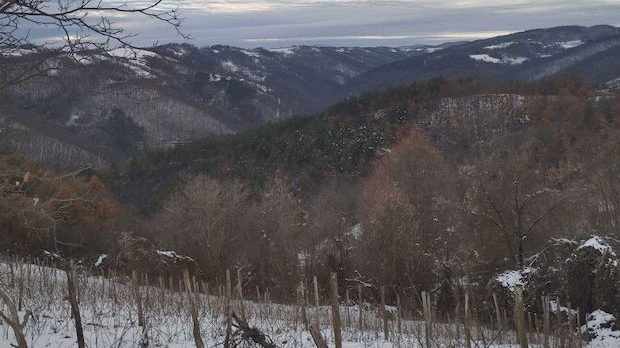 Знање имање: Љубав на сеоски начин