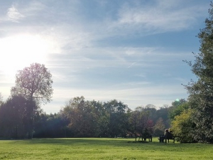 Мајка природа против анксиозности 